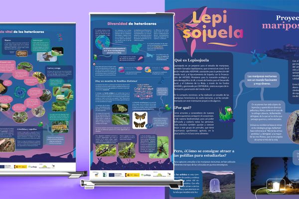 Comp Lepisojuela_2